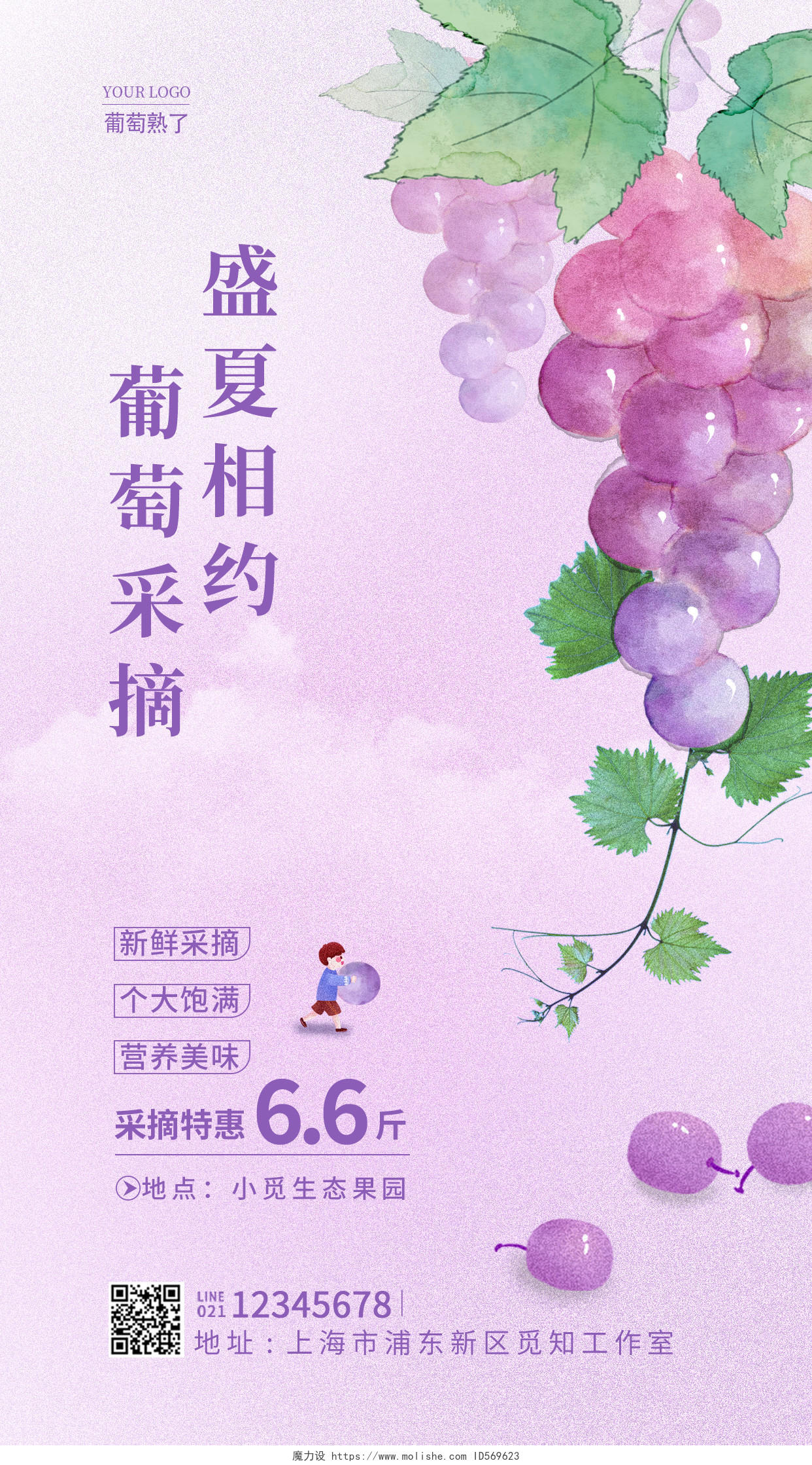 紫色简约盛夏相约葡萄采摘葡萄手机宣传海报葡萄海报